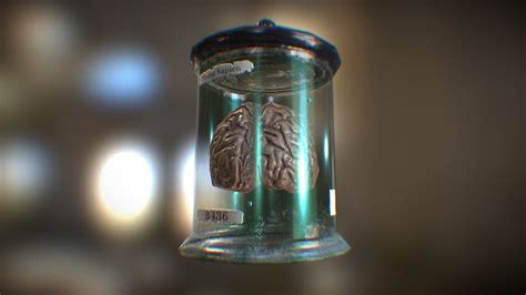 Brain In A Jar Download Free 3d Model By Madlobsterworkshop