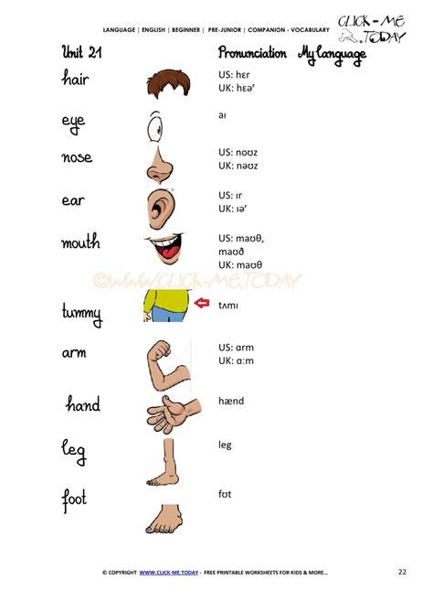free printable beginner esl pre junior vocabulary sheet