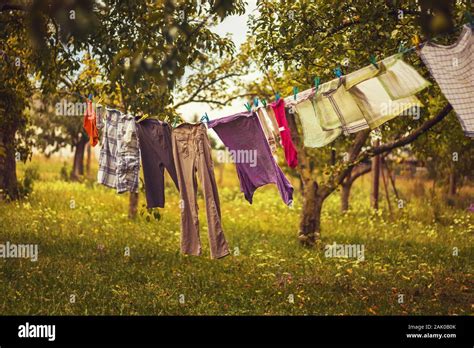 Hanging Laundry Color Clothes Hanging On A Clothesline Between Apple