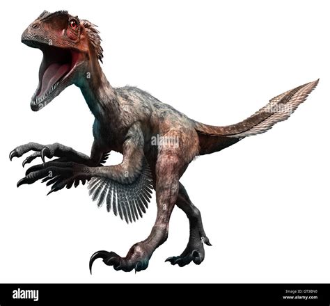 Deinonychus Hi Res Stock Photography And Images Alamy