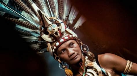 Suku Dayak Berasal Dari Mana Ini Asal Usul Tradisi Ciri Khas Dan Bahasa