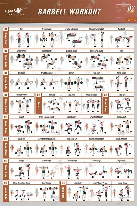 Barbell Workout Exercise Poster Barbell Workout Dumbbell Workout
