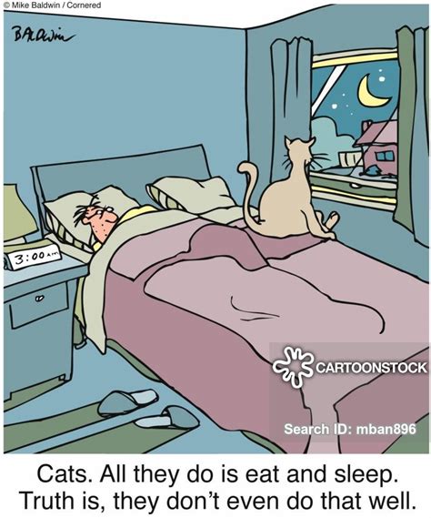 Cat Jokes Cartoons And Comics Funny Pictures From