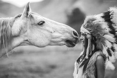 Indian Horse Wallpaper 51 Images