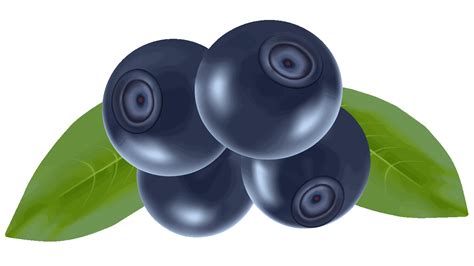 13 Gambar Buah Buahan Animasi Png Cari Gambar Keren H - vrogue.co