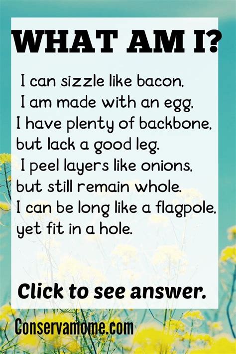 Kids Easy Funny Tricky Riddles With Answers Riddles Time