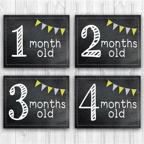 Printable Baby Milestone Cards Chalkboard Month Signs Photo Prop