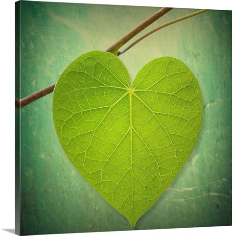 Nature Lover Wall Art Canvas Prints Framed Prints Wall Peels Great