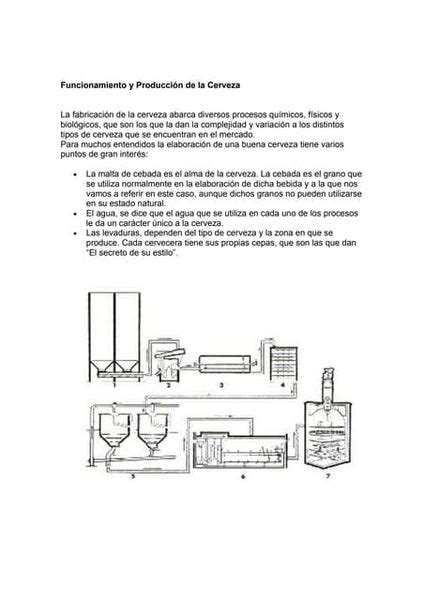 Proceso De ElaboraciÓn De La Cerveza