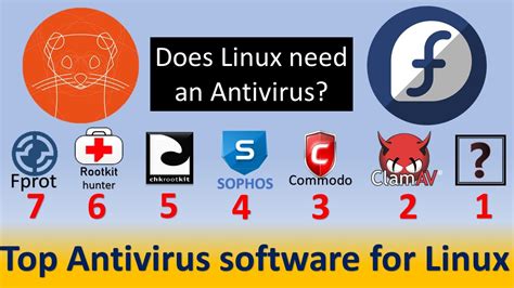 Top 7 Antivirus For Linux Installation Comparison Switching To