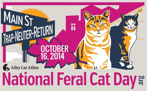 How Will You Celebrate National Feral Cat Day Feralcatday Cat Day