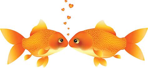 Download Best Fish Kissing Illustrations, Royalty-Free Vector Graphics & Clip Art - iStock