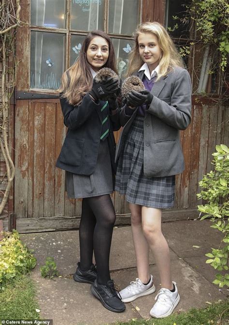 Schoolgirls 13 Set Up Their Very Own Hedgehog Hospital Daily Mail
