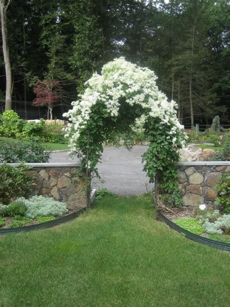 With many types of shapes and colors, these plants dress up any kind of structure they climb. 250 best Garden Arbors Gates Fences and Trellis's images ...