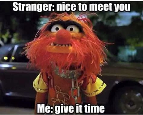 47 Best Animal Muppet Quotes Images On Pinterest