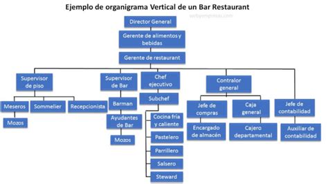 5 Ejemplos De Organigrama Vertical Web Y Empresas