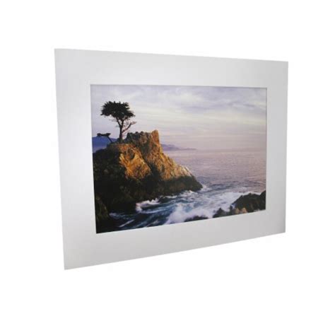 National Geographic Lone Cypress Tree Of Pebble Beach Matted Print One