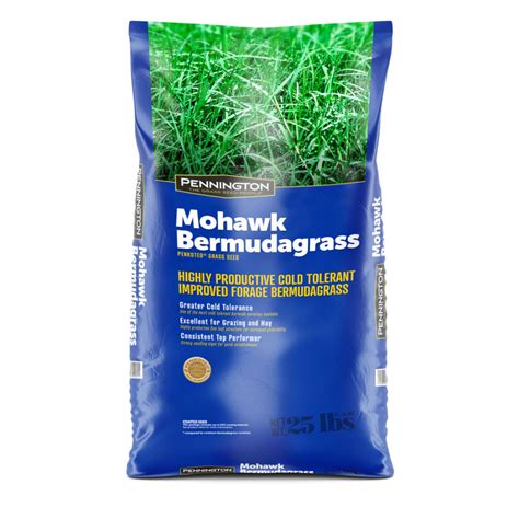 Pennington Mohawk Bermudagrass Hulled Penkoted With Cold Tolerence 25