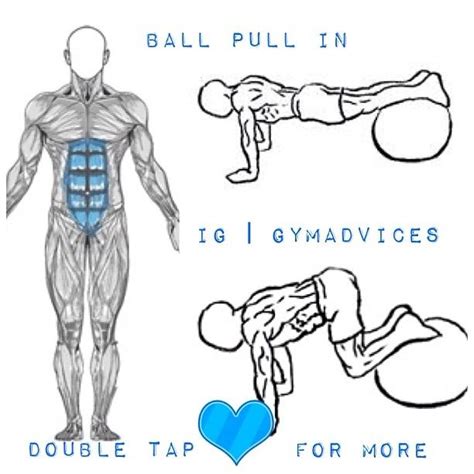 I need to build upper body muscle by next wrestling season. Exercise Summary Exercise Name: Exercise Ball Pull In Main Muscle: Abs Secondary Muscle(s ...