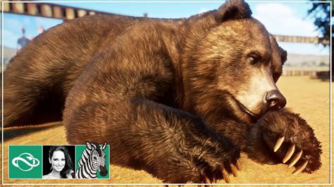 🦓 Grizzly Bears Habitat Lets Play Planet Zoo Franchise Mode Beta