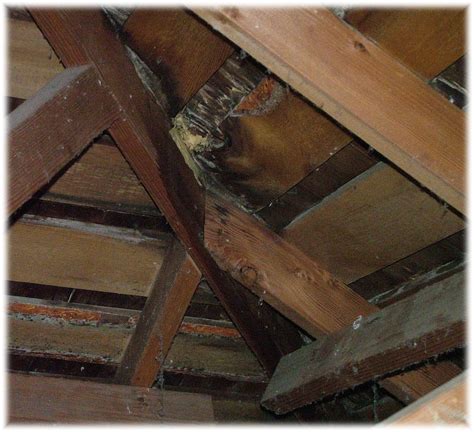 Leaking Roof Repairs How To Build A House