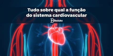 Qual A Função Do Sistema Cardiovascular Tudo Sobre