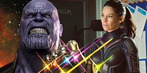 Evangeline Lilly S Wasp Is Barely In Avengers 4 Screen Rant
