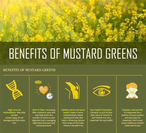 5 Benefits Of Mustard Green Are Good For Health By Puresciencelibrary