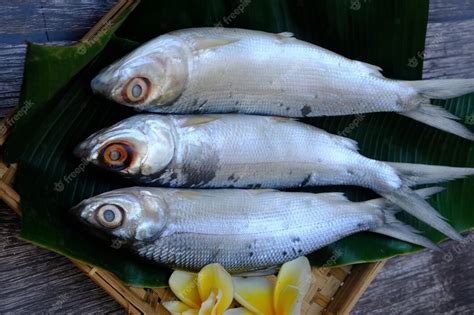 Premium Photo Milkfish On The Woven Bamboo Container Chanos Chanos
