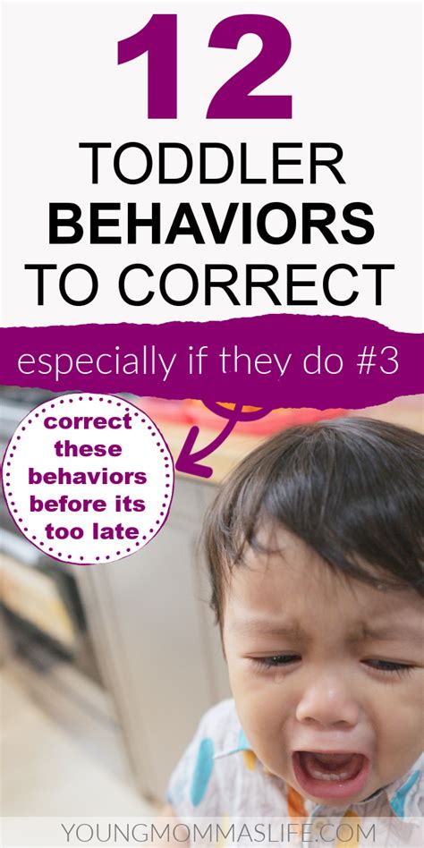 How To Correct These Toddler Behavior Problems Before Its Too Late