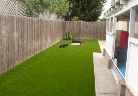 This is a polyurethane backing instead of a latex backing. Synthetic Turf Fixes Lawn Drainage & Pet Issues with Dog Grass
