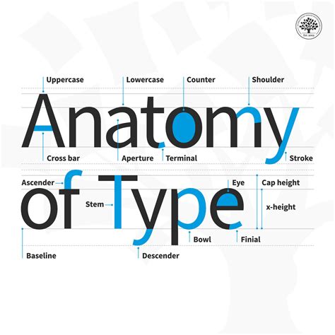 Anatomy Of A Letter Anatomy Of Typography Letter Anatomy Anatomy Images