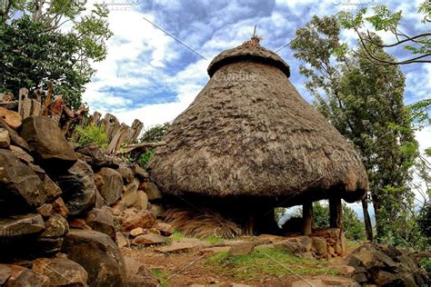 traditional dorze tribe house in chencha ethiopia ethiopia africa tribes tribe