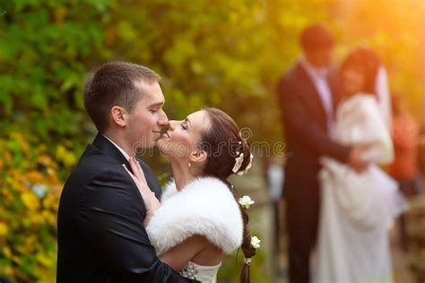 Bride And Groom Kissing Stock Image Image Of Newly Engagement 22838737