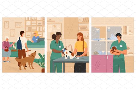 Vet clinic vector illustration set | Vector Graphics ~ Creative Market