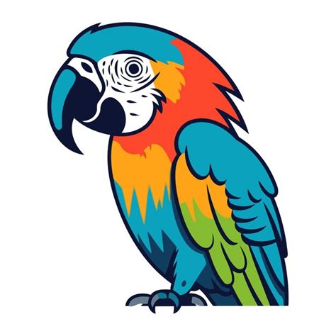 Premium Vector Colorful Macaw Parrot Isolated On White Background