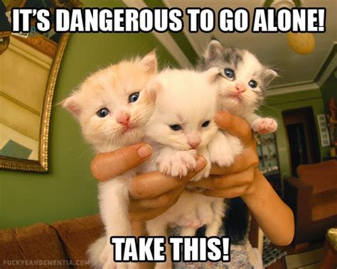 Its Dangerous To Go Alone Funny Cat Pictures