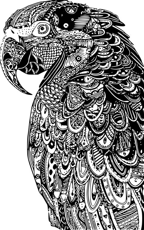 Coloriage Adulte perroquet gratuit à imprimer  Coloriages.info