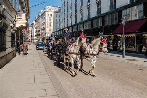 Mit dem original fiaker durch die wiener innenstadt. Fiaker in der Herrengasse - Wien City Foto & Bild | europe ...
