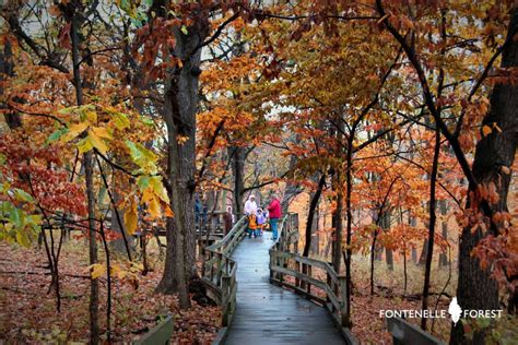 10 Places To See Fall Foliage Near Omaha Nebraska Fall Foliage Road