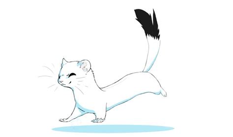 weasel  lynxclaw  deviantart animal drawings animal sketches animal art