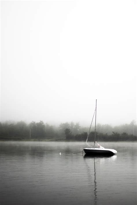 Free Images Sea Water Forest Black And White Boat Lake Foggy