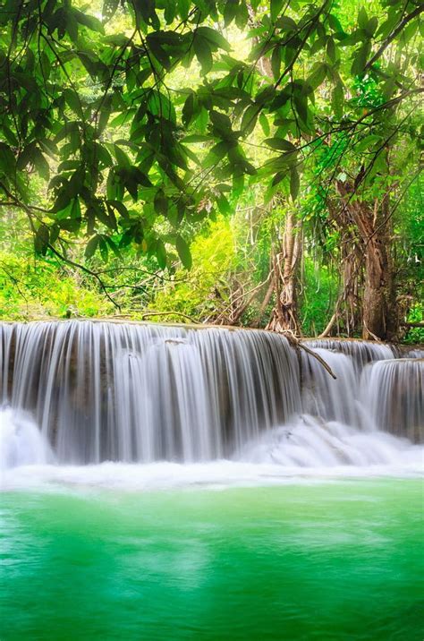 Green Nature Tropical Waterfall Iphone Hd Phone Wallpaper Pxfuel