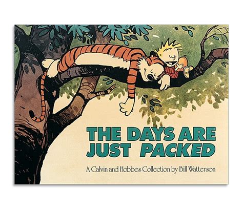 Calvin And Hobbes The Days Are Just Packed A Book And A Hug