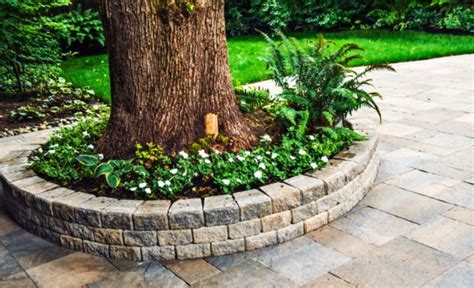 Tips For Landscaping Around Trees With Rocks