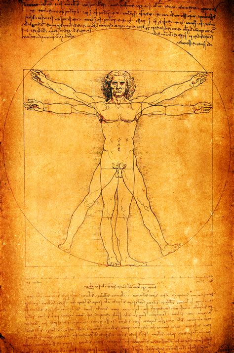 Did Leonardo Da Vinci Copy His Famous Vitruvian Man Live Science