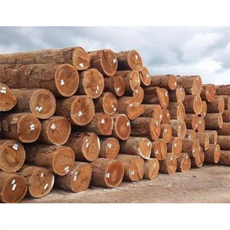 Teak Wood Logs Manufacturersupplier In Gurugramdelhi Ncr