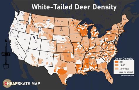 White Tailed Deer Population Density Hunting Land Whitetail Deer
