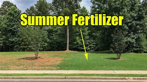Ultrafeed lawn fertilizer is exclusive to the home depot. Summer Lawn Fertilizer - YouTube