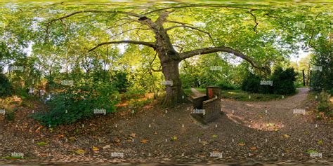 360° view of Neuss, NRW, Germany, Insel Hombroich: "Koenigstrohn", King